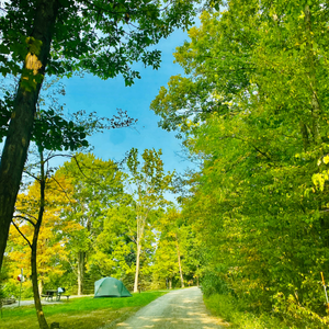 Neighborhood Layout Media