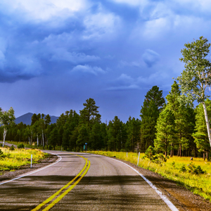 Neighborhood Map Media