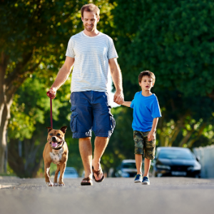 House market in Doylestown