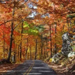 Sell South Carolina Home In Autumn - House Hub Real Estate Solutions