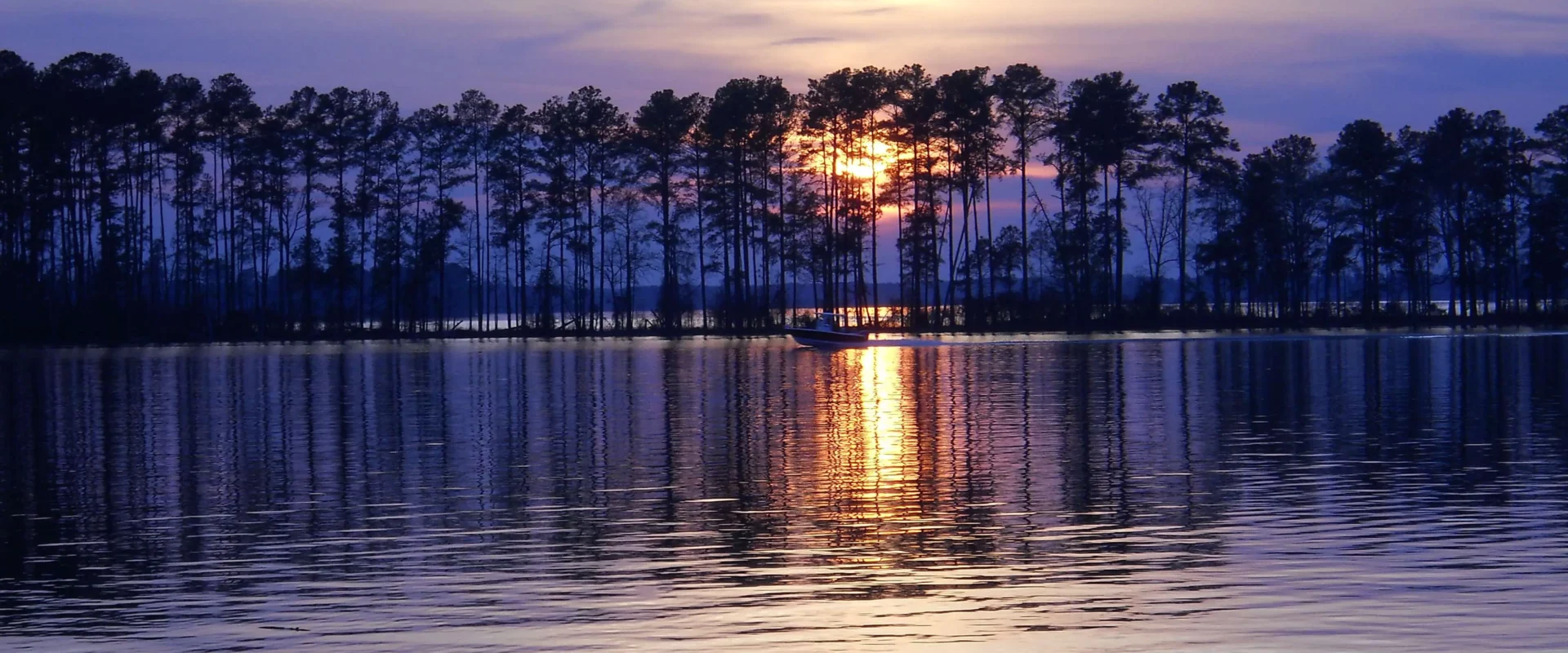 cash home buyers in midlands sc