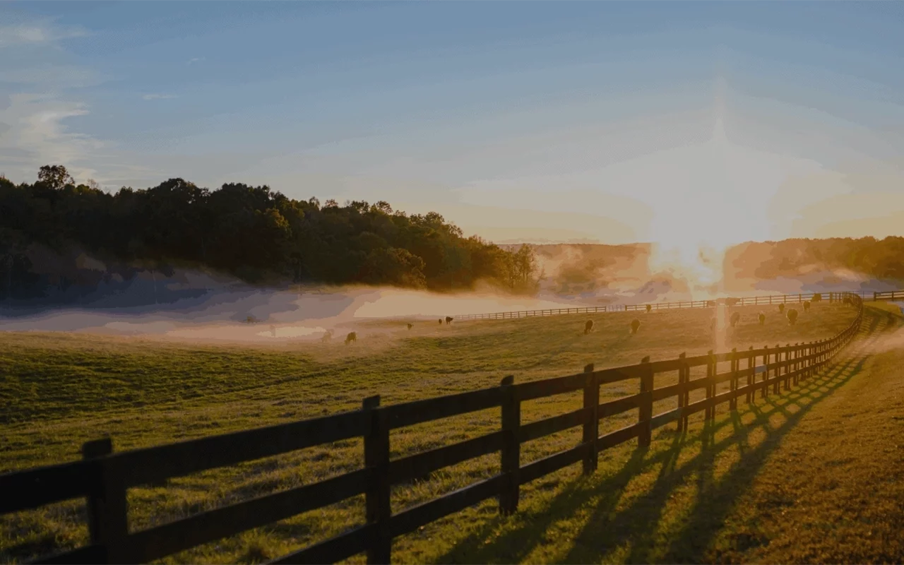 Table Rock Homebuyers — we buy houses in Laurens SC for cash in any condition, fast and as-is.