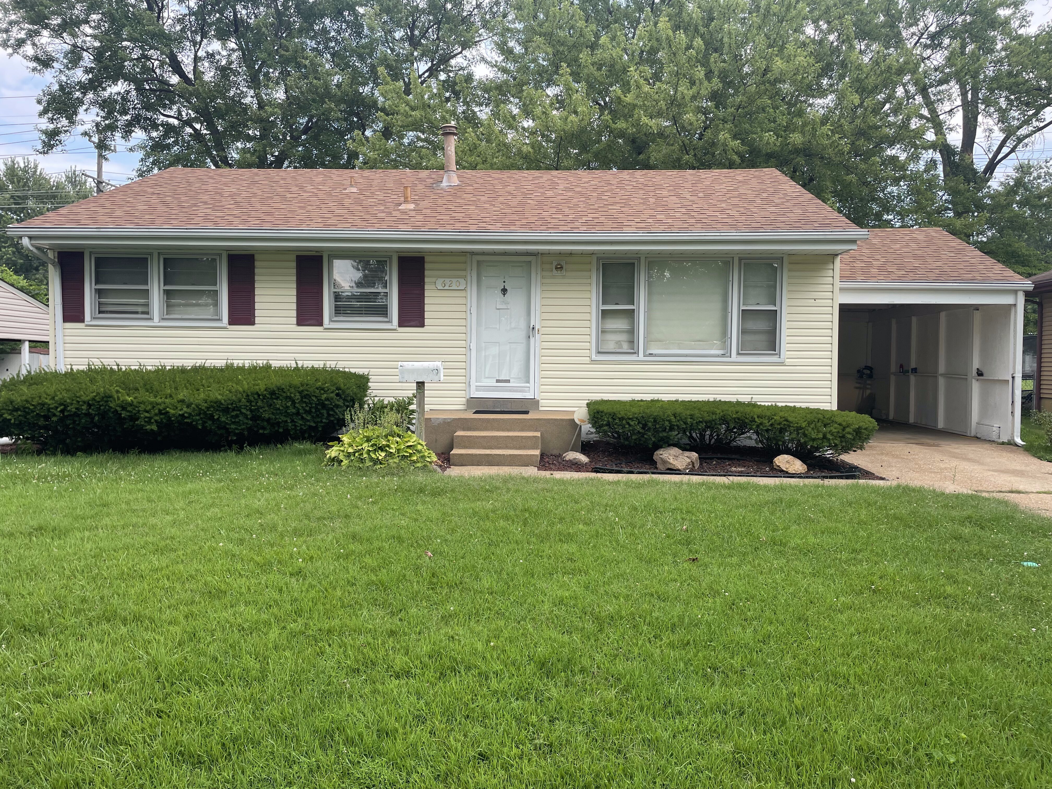 St. Louis Mold in Basement
