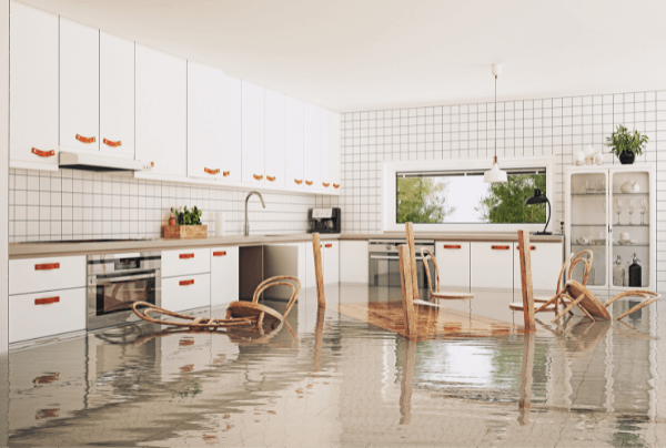 St. Louis Water Damage
