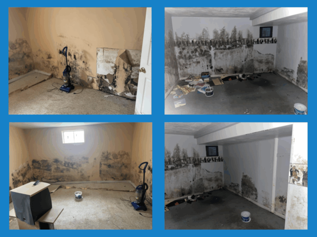 Florissant, MO House with Mold