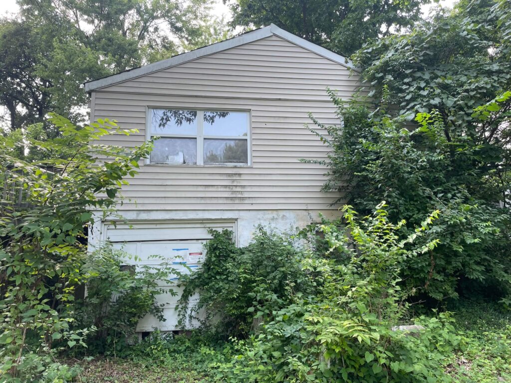 Abandoned Houses in St. Louis