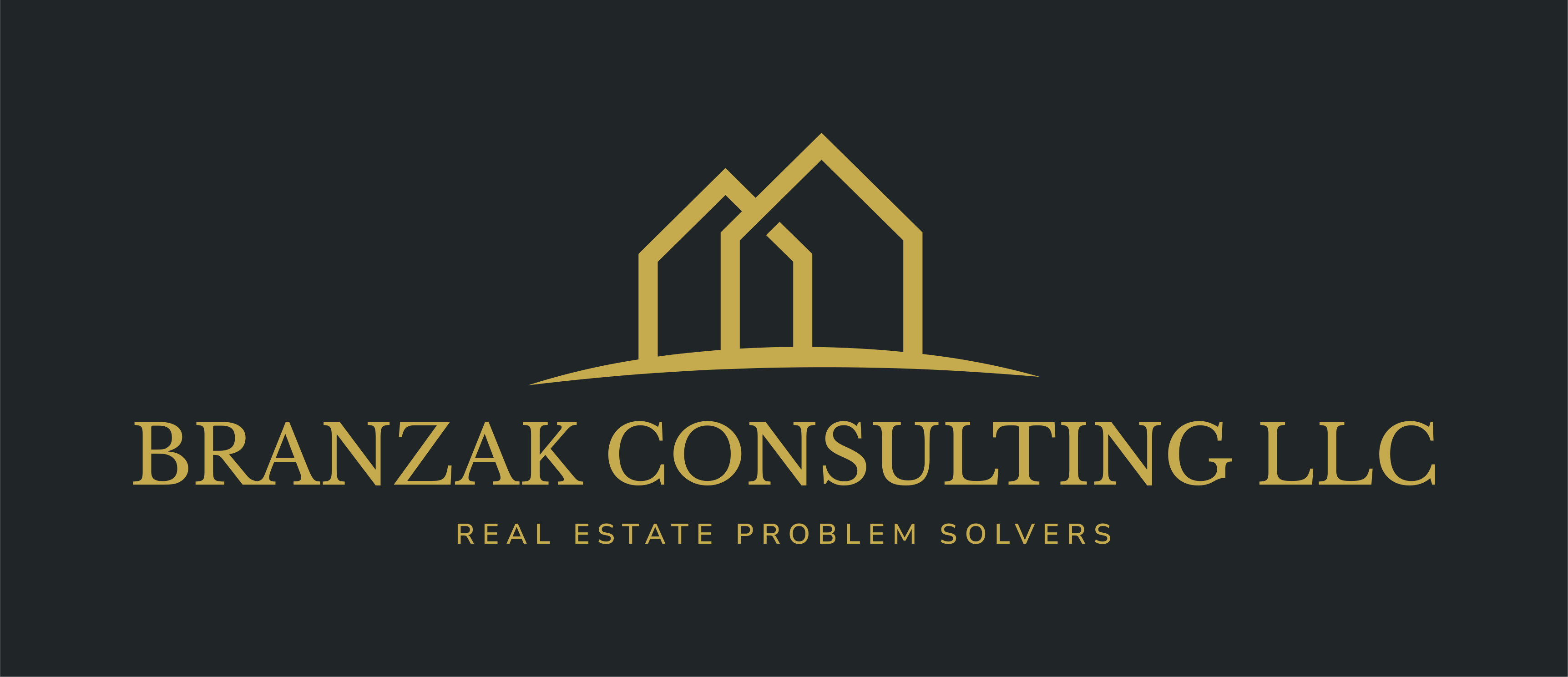 Branzak Consulting LLC logo