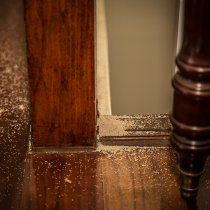 Expense of tenting a house with termite issues In Rhode Island