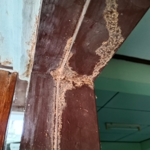 Price to tent a home for termite removal In Rhode Island
