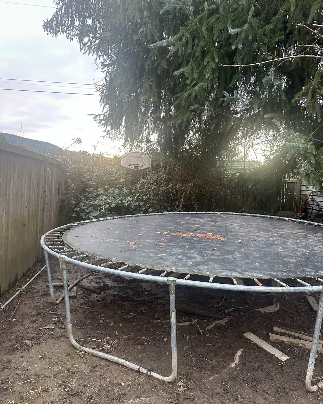 Back yard of a Vader, WA manufactured home before cleanup, with an old trampoline and scrap wood