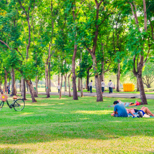 Free Activities Marietta