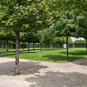 Fun Things to Do with Kids  Marietta