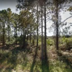 How to Sell Land Fast