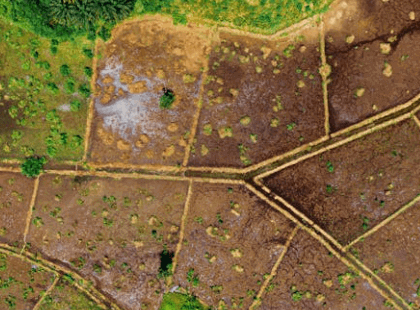 how big 10 acres of land