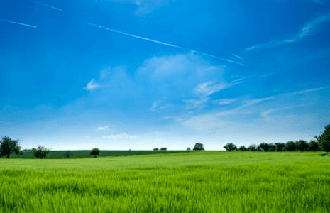 how big is 2 acres of land