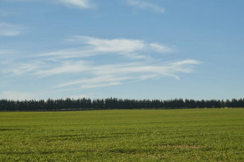 how to find foreclosed vacant land