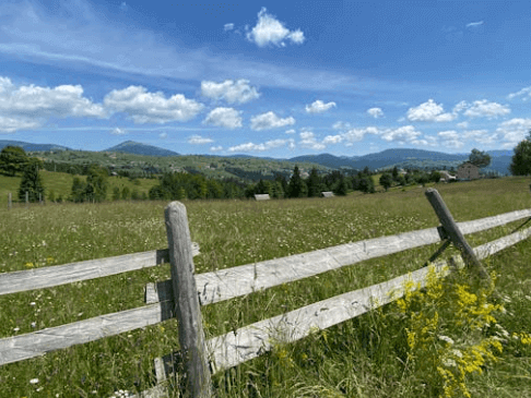 how to find undeveloped land for sale