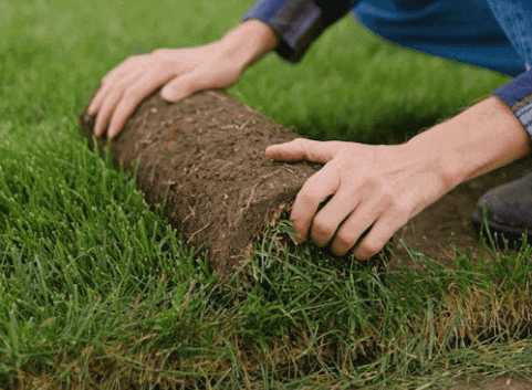 make money with sod land