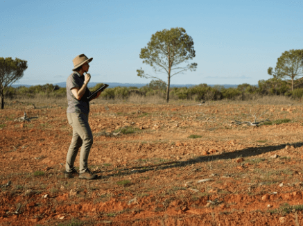 how land auction work