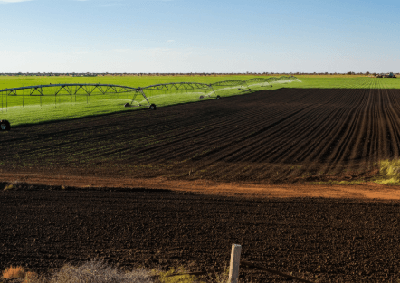 sell agricultural land