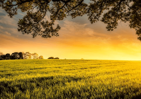 selling agricultural land