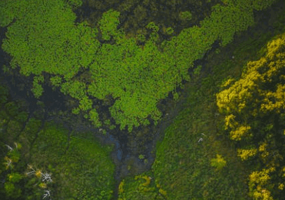 buying land for conservation or preservation