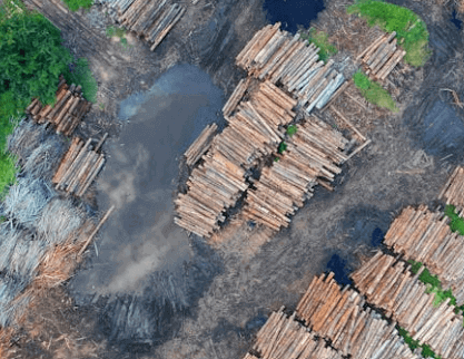 buying land for timber and mineral rights