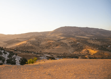 buying land in different types of terrain