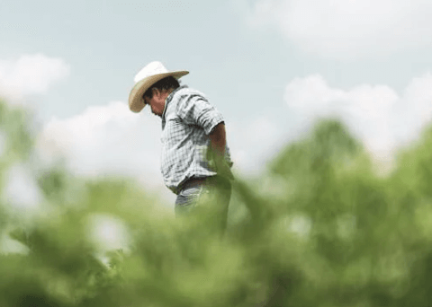 factors to consider buying rural land