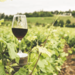 purchasing land for vineyards or wineries