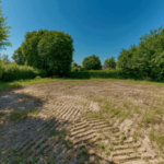 undeveloped land
