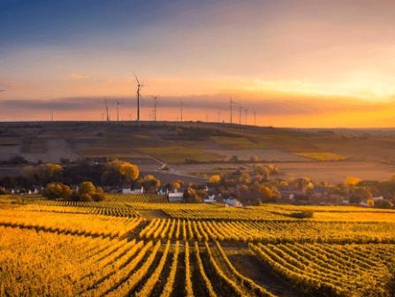best land to invest in