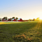 how much can 100 acre farm make