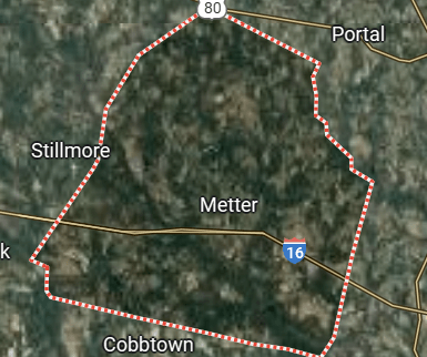 we buy land candler county georgia