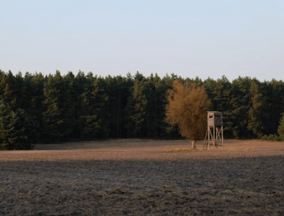 buying hunting land