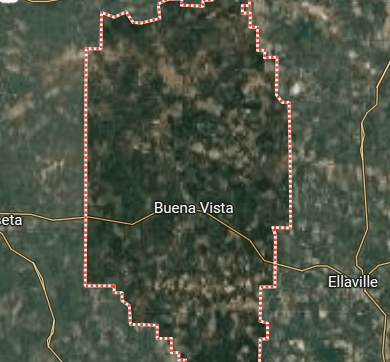 we buy land marion county georgia
