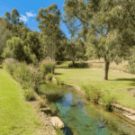 buying land with creek