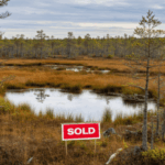 buying swampland