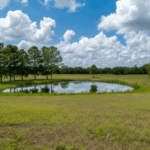 land with a pond