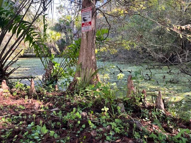 Selling Land With Issues