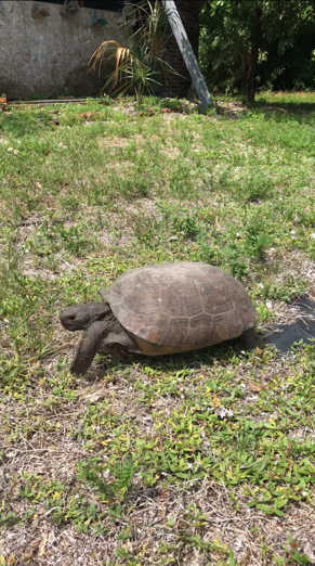 Sell Your Land in Florida