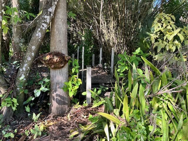 Process To Sell Land