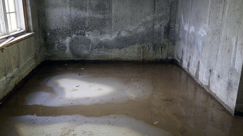 Flooded basement with standing water and stained concrete walls, showing clear signs of foundation seepage and water intrusion—common issues when selling a house with water damage in Madison.