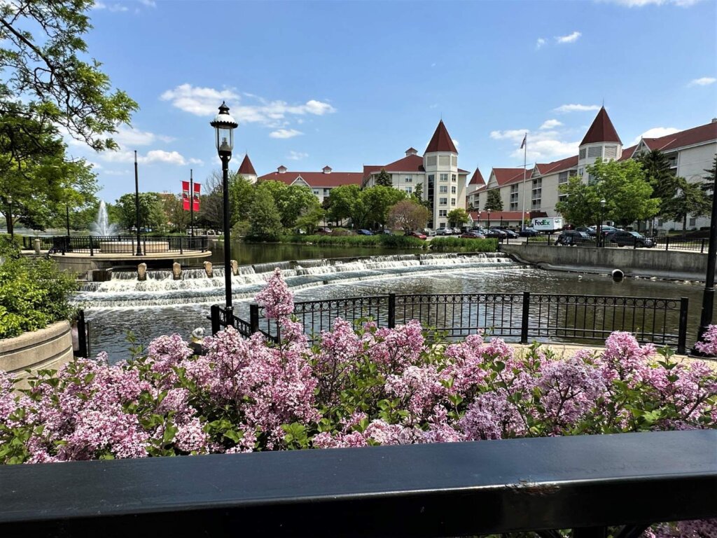 Scenic view of downtown Waukesha with blooming lilac bushes, a waterfall, and historic buildings under a clear blue sky.