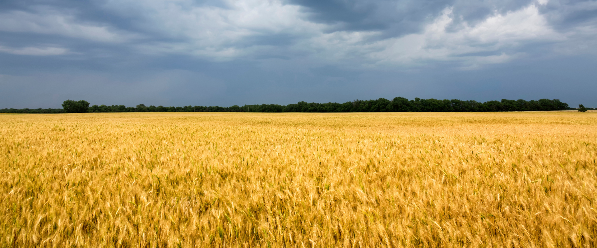 Fast Land Offer