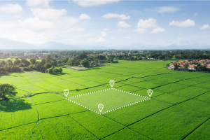 Entitle Land For Development