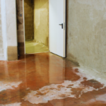 A Water-damaged House Vancouver