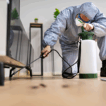 How To Sell A House With Termites In Vancouver, WA
