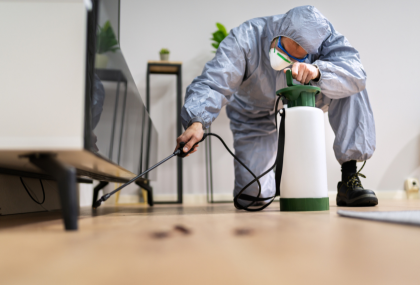 How To Sell A House With Termites In Vancouver, WA