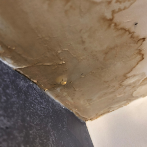 Selling Water-Damaged Property Vancouver Vancouver